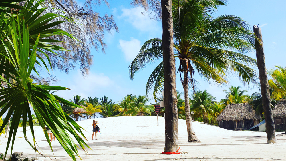 How to stay productive when you’re working in paradise