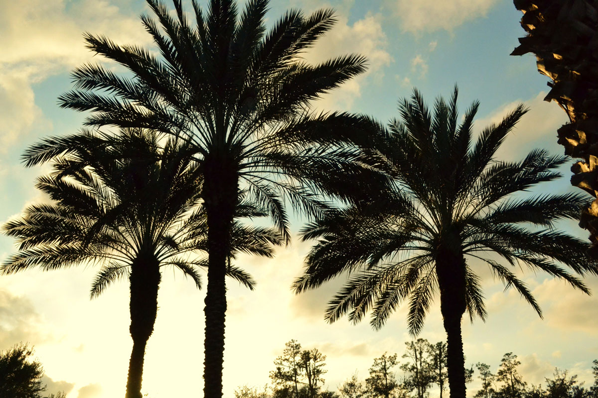 5 Mindset Strategies to Kick Start Your Dream Chasing Journey