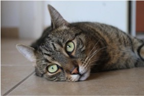 Sell Now, Niche Later