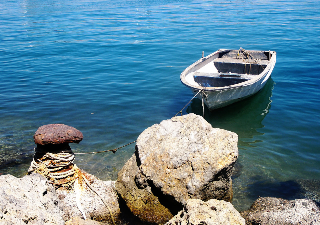 Grow your Network Location Independent: An Audience Around The World